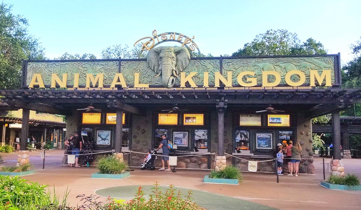 HelloAmerika | Animal Kingdom